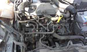 ankara ford transit çıkma motor
